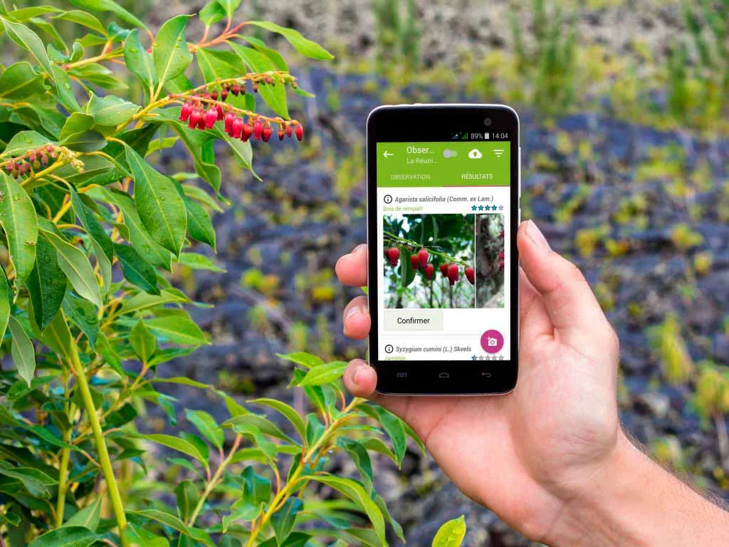 Apps om planten te identificeren Ontdek de beste